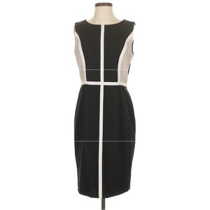 Calvin Klein Black and White Sheath Dress Size 2